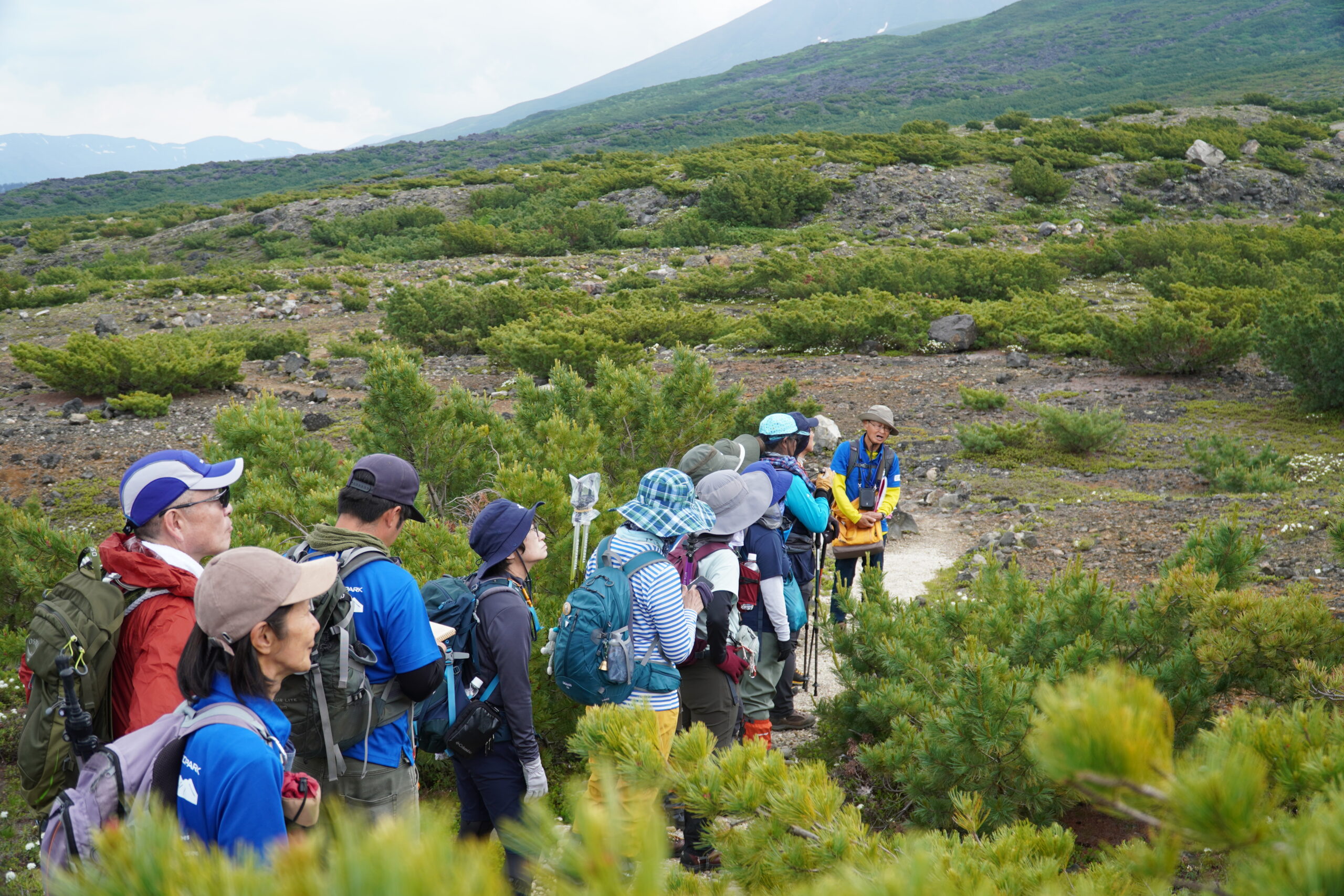 十勝岳&火山の恵み満喫コース
